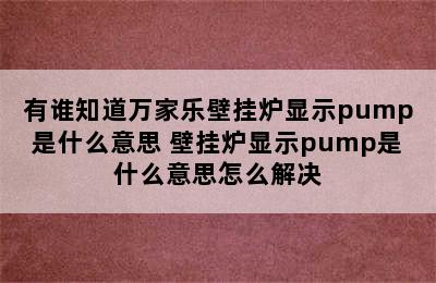 有谁知道万家乐壁挂炉显示pump是什么意思 壁挂炉显示pump是什么意思怎么解决